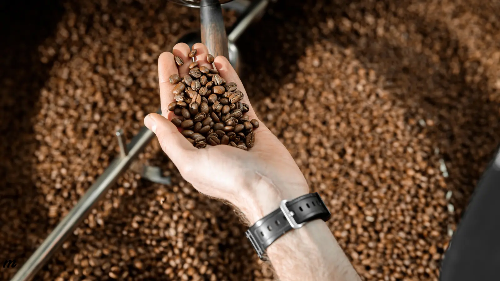 Mates Coffee House — cafea de specialitate București - cafea boabe pentru acasă - specialty coffee Bucharest